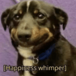 Happiness whimper dog  meme template blank