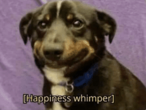 Happiness whimper dog  Animal meme template