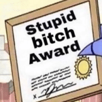 Meme Generator – Stupid bitch award