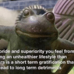 The pride and superiority you feel... Frog meme template blank