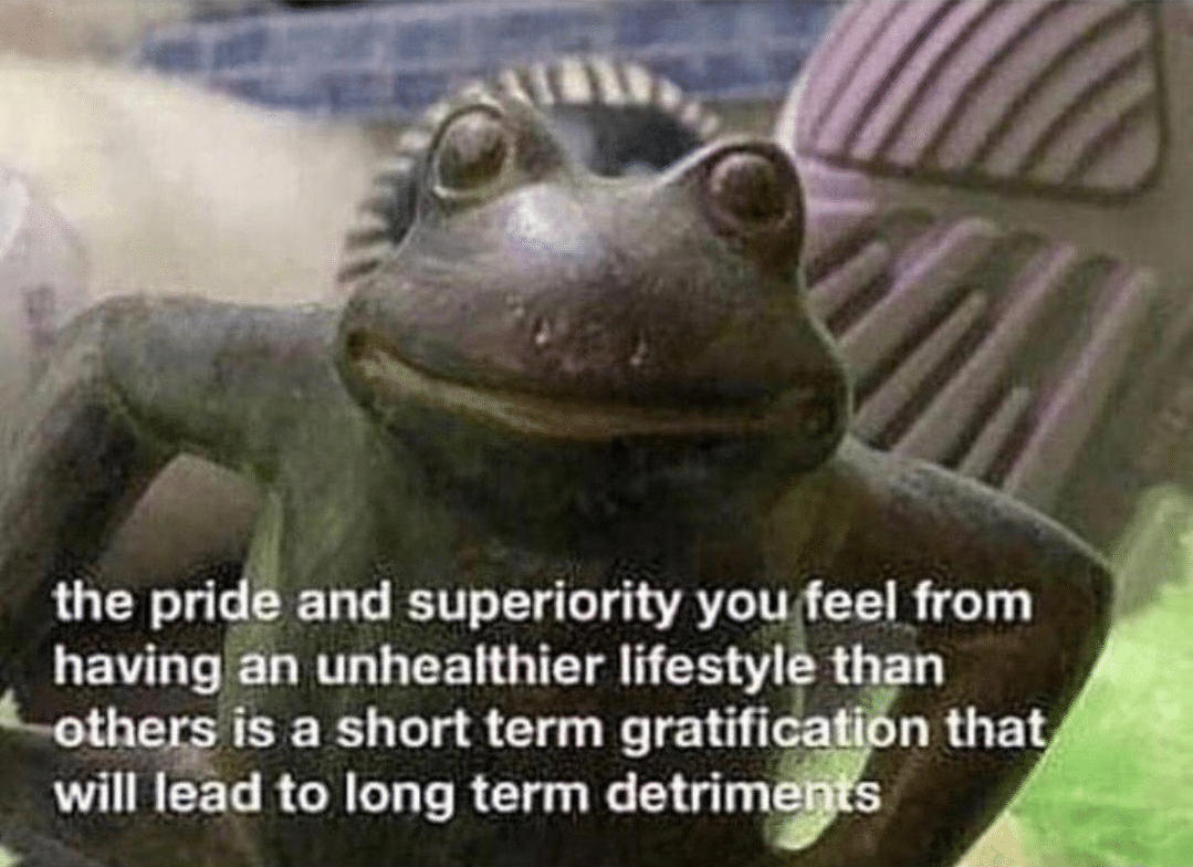 The pride and superiority you feel... Frog meme template blank