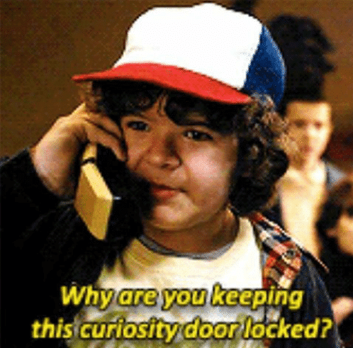 Why are you keeping the curiosity door locked? Stranger Things meme template blank Dustin