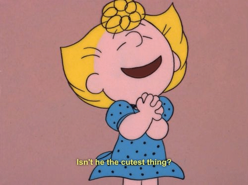 Sally 'Isnt he just the cutest thing'  meme template blank Charlie Brown