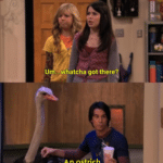 Watcha got there? A smoothie  meme template blank iCarly, Spencer