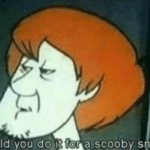 Shaggy 'Would you do it for a scooby snack' Scooby Doo meme template blank