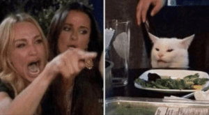 Woman yelling at cat Screaming meme template