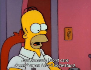 Homer ‘Just because I don’t care doesnt mean I dont understand’ Standing meme template