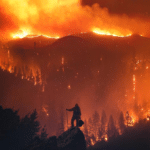 Fireman looking at forest fire  meme template blank