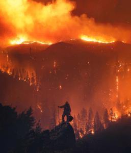 Fireman looking at forest fire Looking meme template