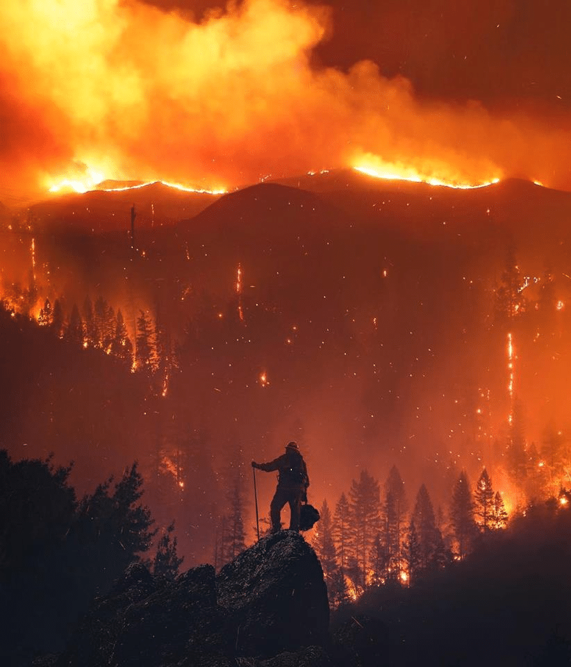 Meme Generator Fireman Looking At Forest Fire Newfa Stuff