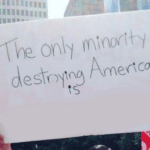 The only minority destroying America is (blank) Opinion meme template