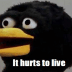 Bird 'It hurts to live'  meme template blank Sesame Street