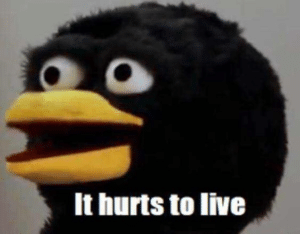 Bird ‘It hurts to live’  Sesame Street meme template