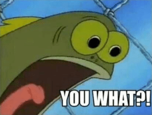 Spongebob fish ‘YOU WHAT?!’ Worried meme template