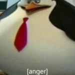 Anger Penguin  meme template blank Angry, Dreamworks, Madagascar