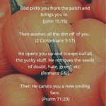 political-memes political text: Being a Christian is like being a pumpkin! od picks you from the patch and brings you in. (John 15:16) Then washes all the dirt off of you. (2 Corinthians 5:1 7) He opens you and scoops out all the yucky stuff. He r ves the seeds of doubt, hate, re (Romans 6:6:) Then He carves you a new smiling face. (Psalm 71 :23) And He put4Åis light inside you to shine for all the world to see. (Matthew 6)  political