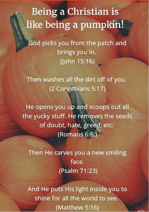 political political-memes political text: Being a Christian is like being a pumpkin! od picks you from the patch and brings you in. (John 15:16) Then washes all the dirt off of you. (2 Corinthians 5:1 7) He opens you and scoops out all the yucky stuff. He r ves the seeds of doubt, hate, re (Romans 6:6:) Then He carves you a new smiling face. (Psalm 71 :23) And He put4Åis light inside you to shine for all the world to see. (Matthew 6) 