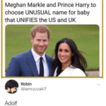 history-memes history text: Meghan Markle and Prince Harry to choose UNUSUAL name for baby that UNIFIES the US and UK Robin @iamryuzaki7 Adolf  history