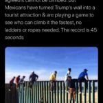 political-memes political text: Stone @stonecold2050 Trump visited the US border this week & said rock climbers tested his wall & agreed it cannot be climbed. But Mexicans have turned Trump