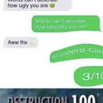 other-memes cute text: Words can