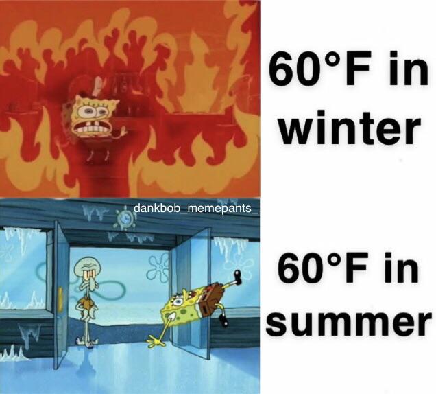 spongebob spongebob-memes spongebob text: 600F in winter 600F in summer 