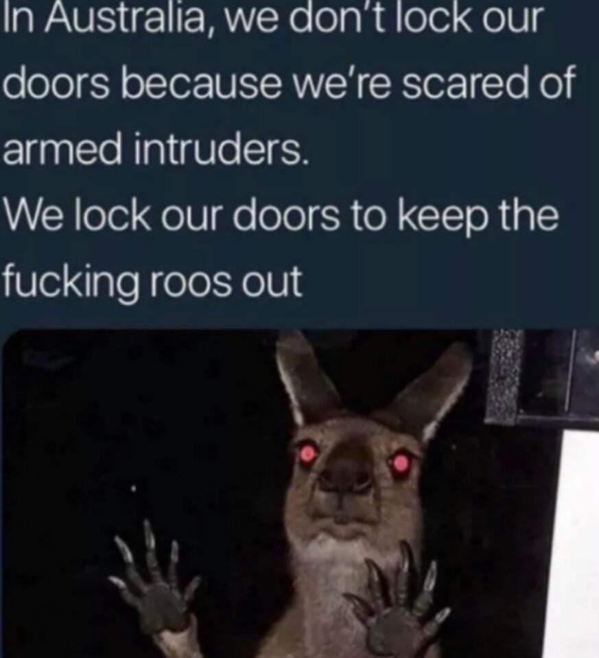 cute other-memes cute text: In Australia, we don't lock our doors because we're scared of armed intruders. We lock our doors to keep the fucking roos out 