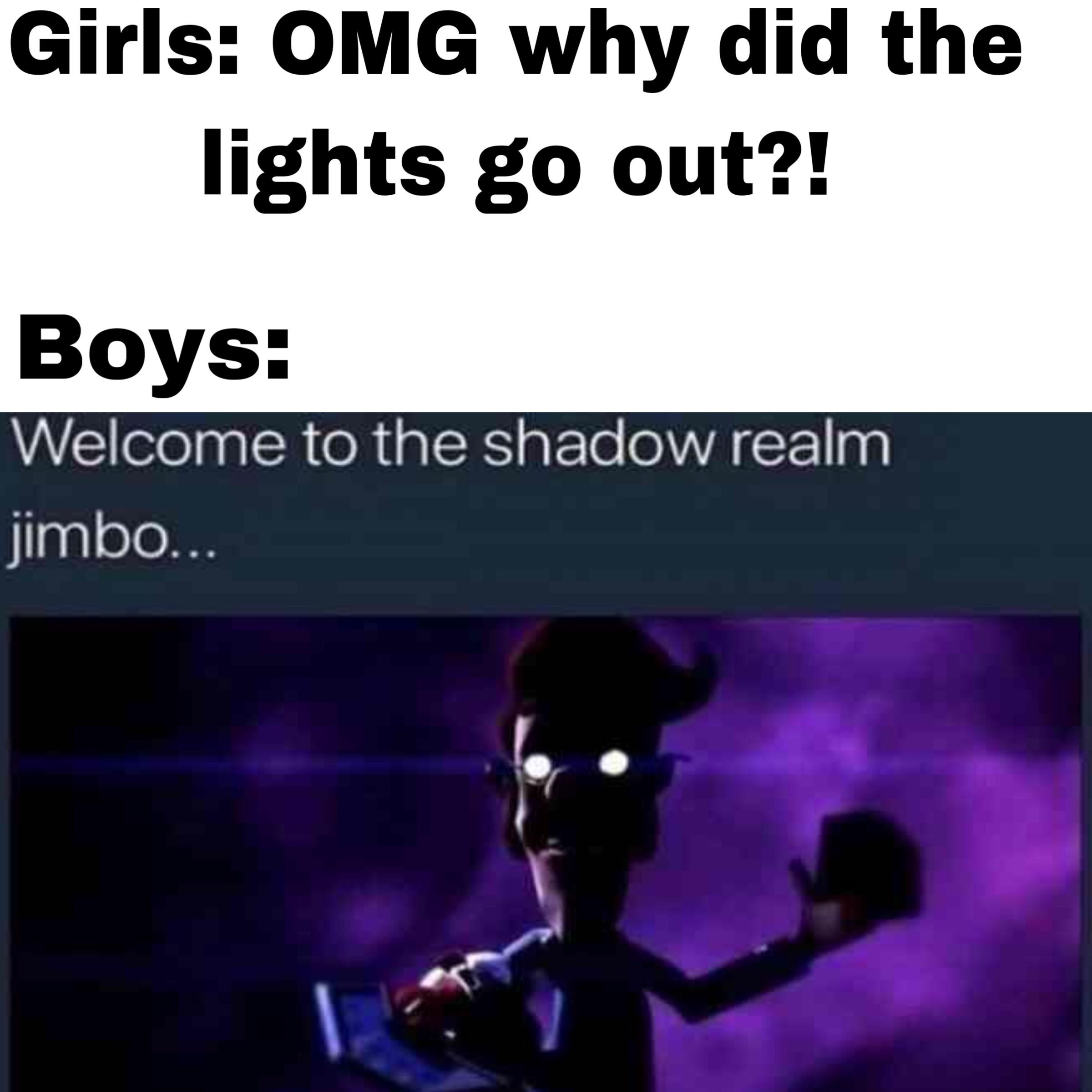 Dank Meme dank-memes cute text: Girls: OMG why did the lights go out?! BOYS: Welcome to the shadow realm jimbo... 