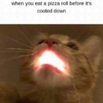 other-memes other text: when you eat a pizza roll before it