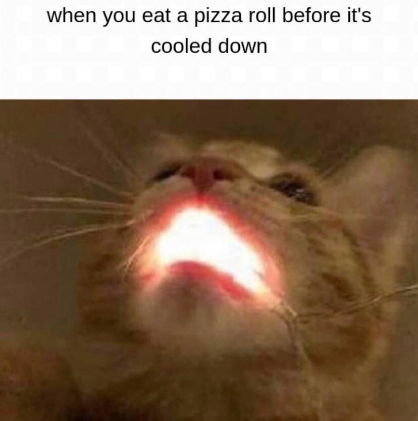 other other-memes other text: when you eat a pizza roll before it's cooled down 