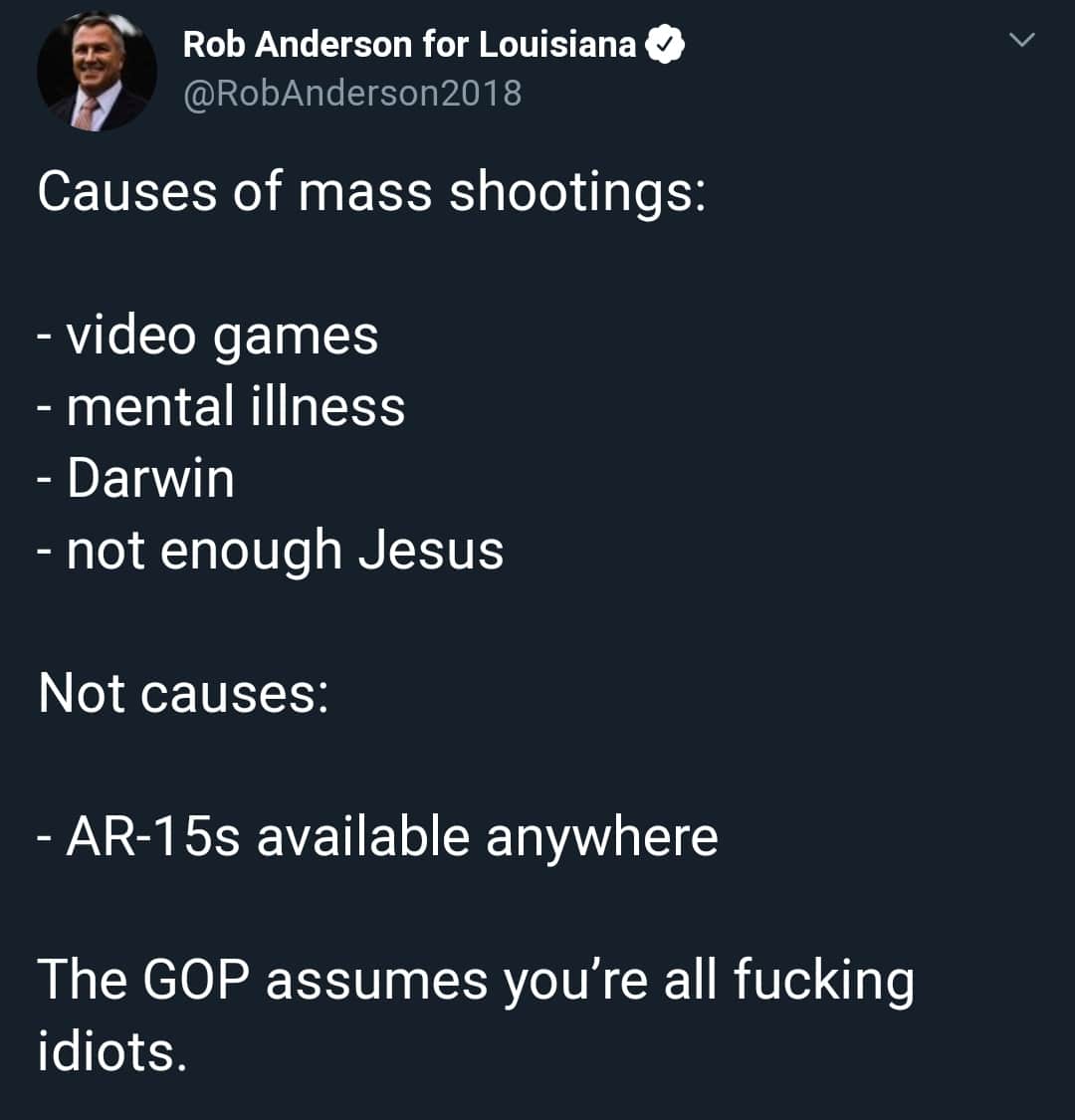 political political-memes political text: Rob Anderson for Louisiana @RobAnderson2018 Causes of mass shootings: - video games - mental illness - Darwin - not enough Jesus Not causes: - AR-1 5s available anywhere The GOP assumes you're all fucking idiots. 