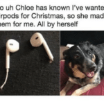 wholesome-memes cute text: So uh Chloe has known I