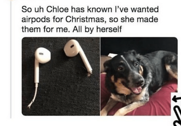 cute wholesome-memes cute text: So uh Chloe has known I've wanted airpods for Christmas, so she made them for me. All by herself 