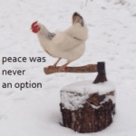 Peace was never an option animal meme template blank chicken, axe, aggressive
