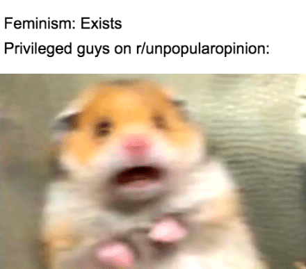 women feminine-memes women text: Feminism: Exists Privileged guys on r/unpopularopinion: 