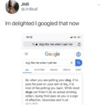 wholesome-memes cute text: Jhill @Jhilleaf 1m delighted I googled that now 14:12 Q a dog hits me when i pet her Google dog hits me when i pet her ALL SHOPPING IMAGES X VIDEOS o NEWS So when you are petting your dog, if he puts his paw on your arm or leg, it is kind of like petting you back. While most dogs can