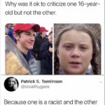 political-memes political text: Brandon Darby @brandondarby Why was it ok to criticize one 16-year- old but not the other. Patrick S. Tomlinson @stealthygeek Because one is a racist and the other is trying to save the fucking world, you mouth-breathing troglodyte.  political