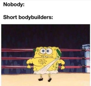 spongebob-memes spongebob text: Nobody: Short bodybuilders: 00