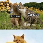 history-memes history text: Canada Britain Thirteen colonies  history