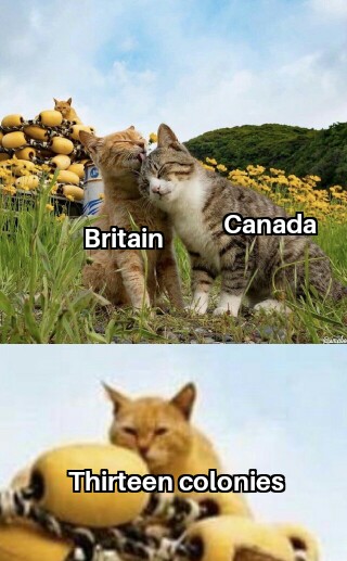history history-memes history text: Canada Britain Thirteen colonies 
