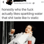 dank-memes cute text: Yesterday at 4:19 AM • honestly who the fuck actually likes sparkling water that shit taste like tv static Why would you say something so controversial yet  Dank Meme