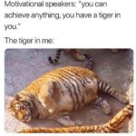 depression-memes depression text: Motivational speakers: "you can achieve anything, you have a tiger in you." The tiger in me:  depression