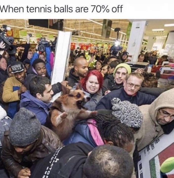 cute other-memes cute text: When tennis balls are 70% off 