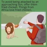 offensive-memes nsfw text: To avoid being attacked by an approaching lion, offer them fried chicken. Things from Africa love fried chicken.  nsfw