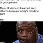 history-memes history text: Me: Mom why do I only have one set of grandparents Mom: Ur dad and I married each other to keep our family