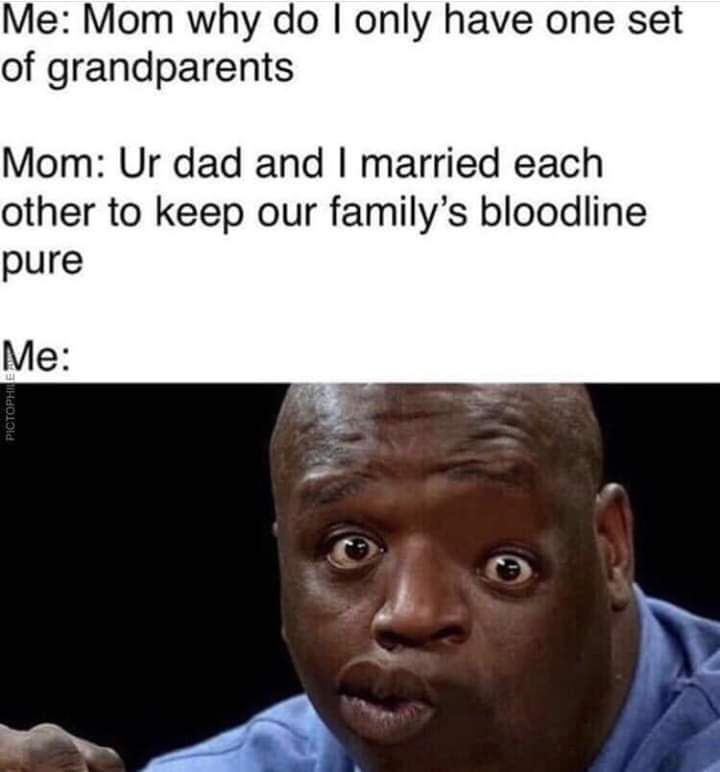 history history-memes history text: Me: Mom why do I only have one set of grandparents Mom: Ur dad and I married each other to keep our family's bloodline pure 