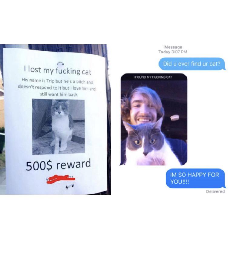 cute wholesome-memes cute text: I lost my fucking cat His name is Trip but he's a bitch and doesn't respond to it but I love htm ant still want him back 500$ reward iM essage Today PM Did u ever find ur cat? CAT 1M SO HAPPY FOR YOU!!!! Delivered 