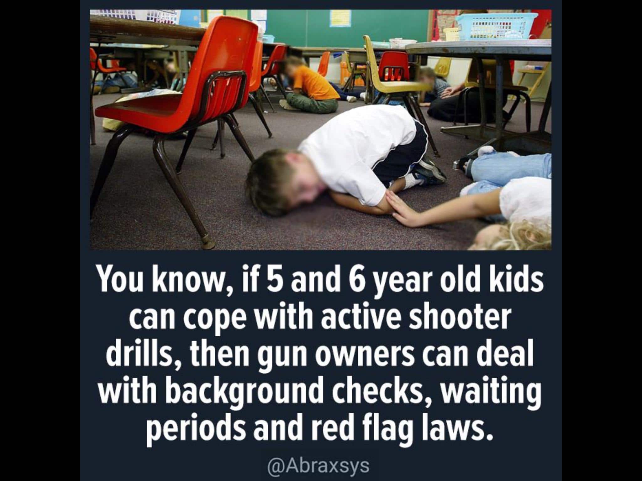 political political-memes political text: You know, if 5 and 6 year old kids can cope with active shooter drills, then gun owners can deal with background checks, waiting periods and red flag laws. @Abraxsys 