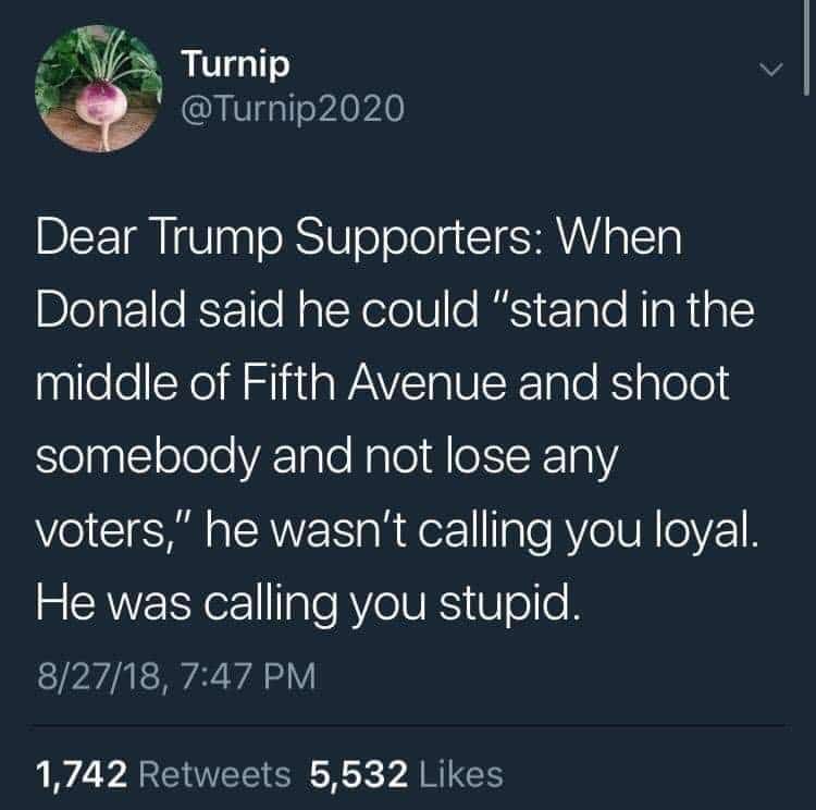 political political-memes political text: Turnip @Turnip2020 Dear Trump Supporters: When Donald said he could 