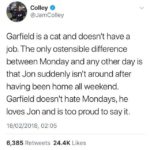wholesome-memes cute text: 0 Colley @JamColley Garfield is a cat and doesn