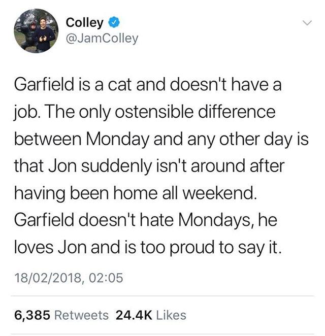 cute wholesome-memes cute text: 0 Colley @JamColley Garfield is a cat and doesn't have a job. The only ostensible difference between Monday and any other day is that Jon suddenly isn't around after having been home all weekend. Garfield doesn't hate Mondays, he loves Jon and is too proud to say it. 18/02/2018, 02:05 24.4K Likes 6,385 Retweets 